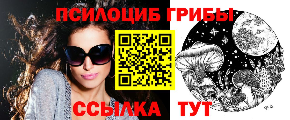 Бугуруслан  Псилоцибиновые грибы Magic Shrooms  что такое наркотик  Вход с VPN  Псилоцибиновые грибы GOLDEN TEACHER 